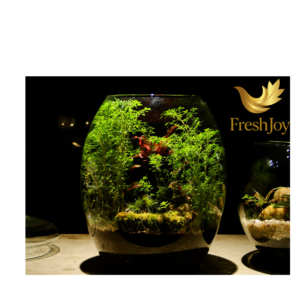 Circle Terrarium