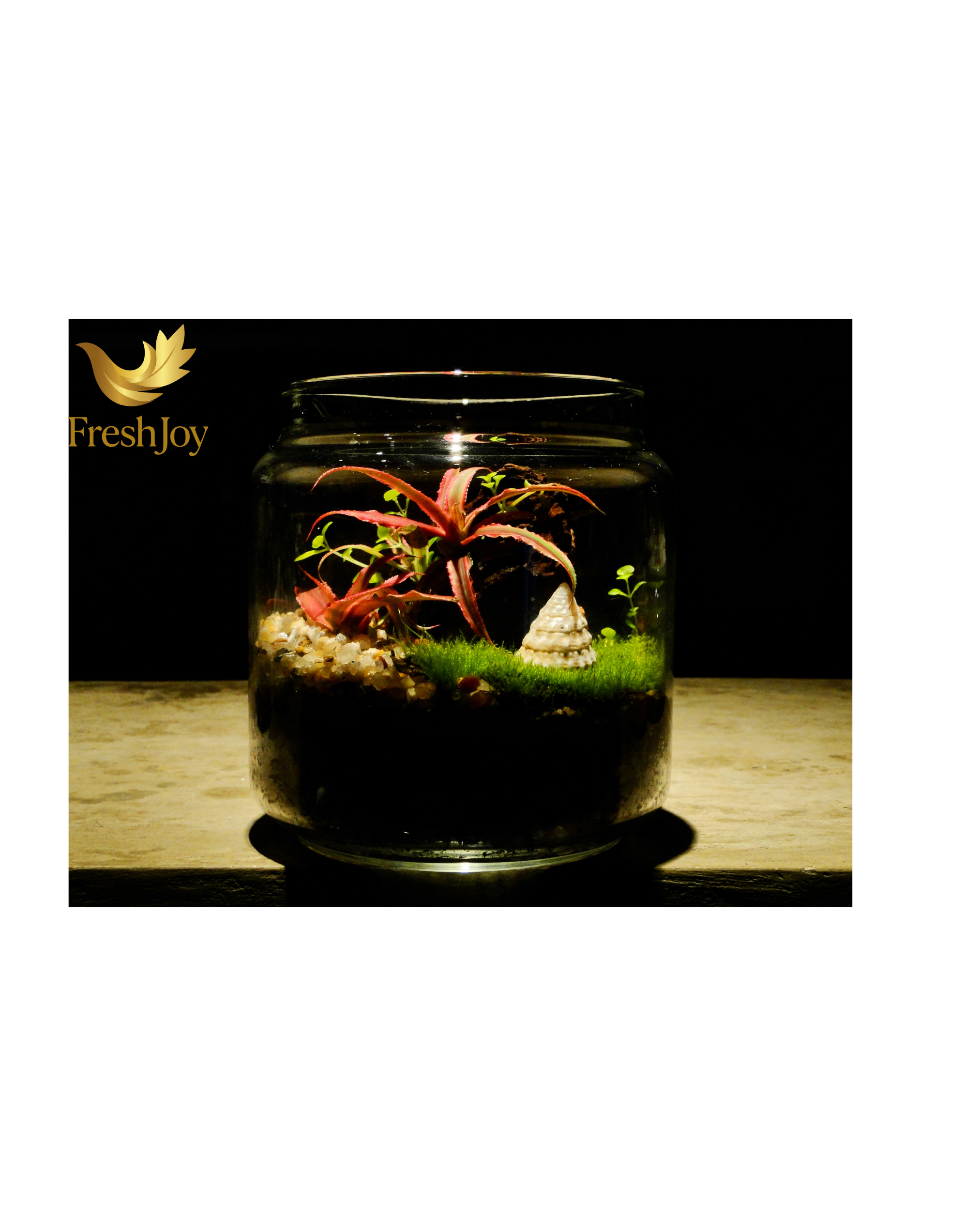 Mini terrarium for desk