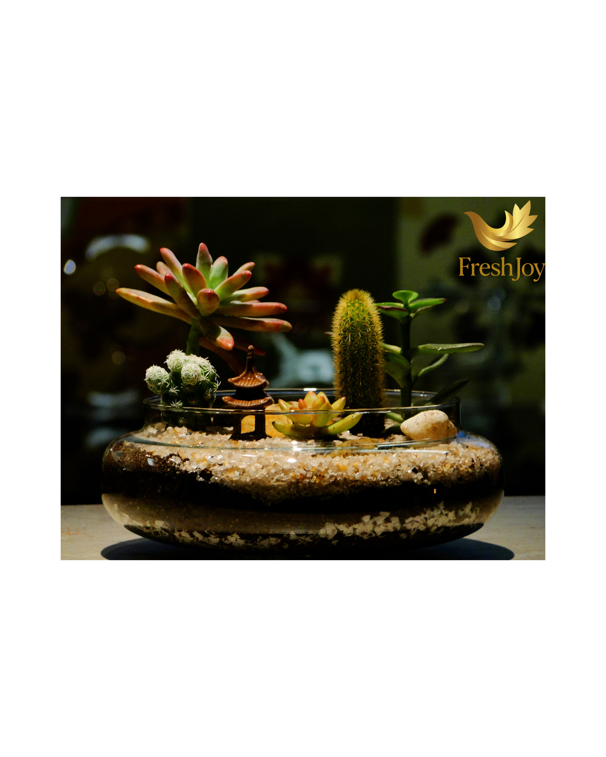 Medium terrarium