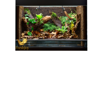 Rectangular glass vivarium with lush tropical plants and natural hardscape