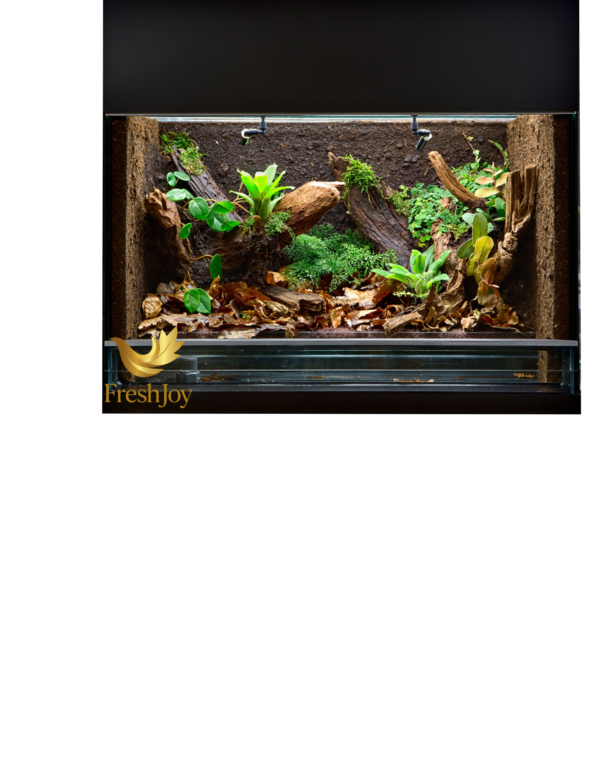 Rectangular wood framed vivarium terrarium