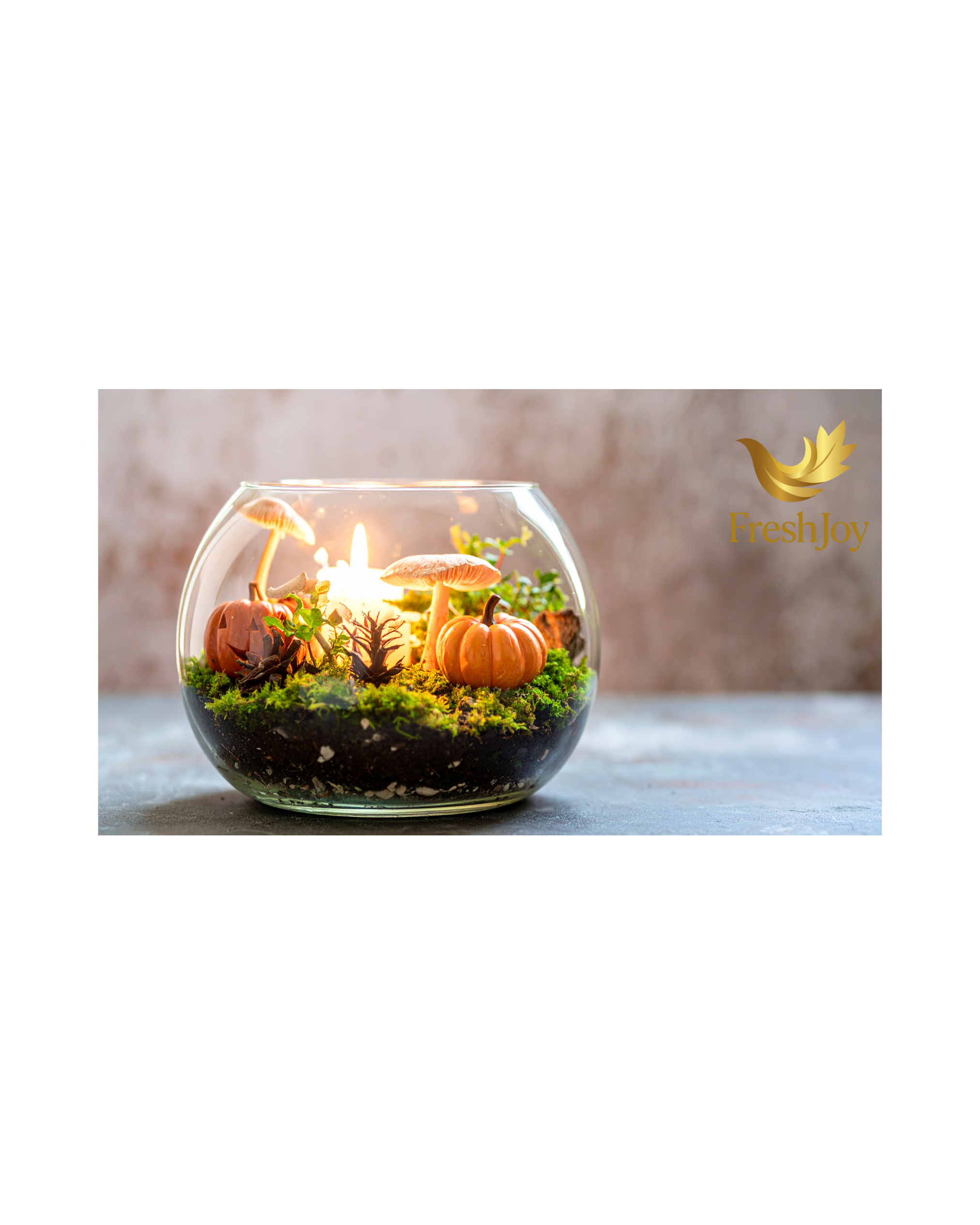 Terrarium with plants and moss